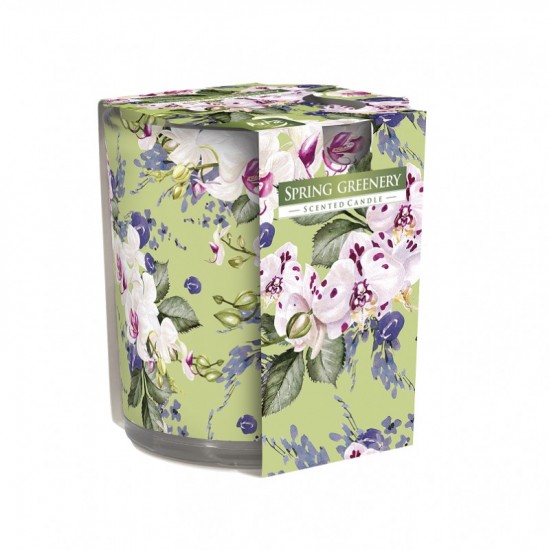 BISPOL Vonná sviečka Spring greenery 100g BISPOL Vonná sviečka Spring greenery 100g