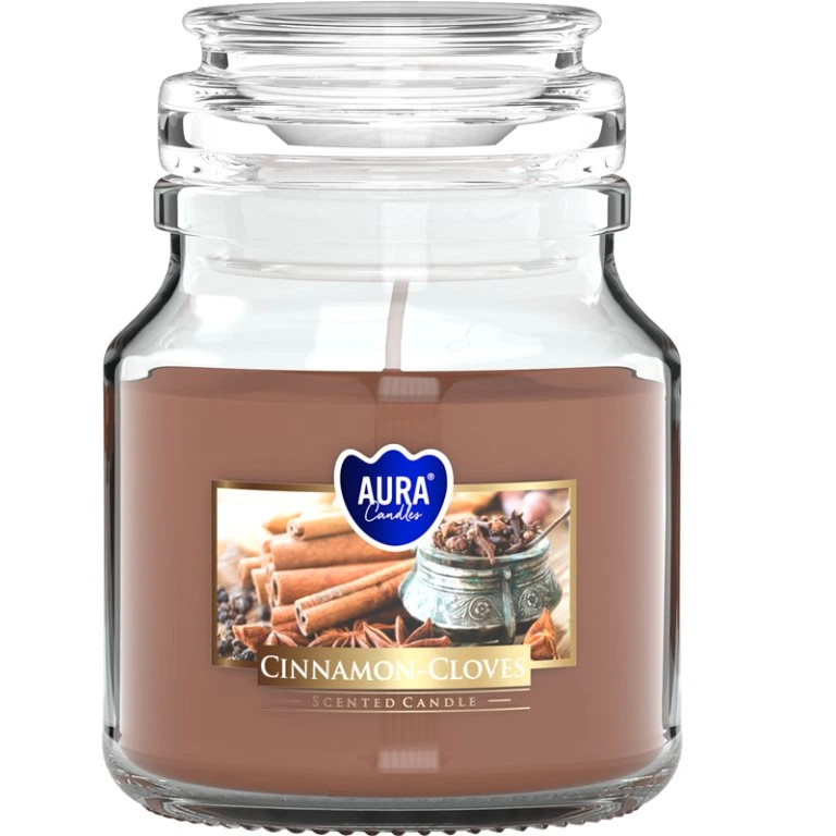 E-shop BISPOL Vonná sviečka Premium Line Cinnamon 120g