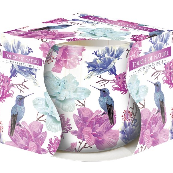 E-shop BISPOL Vonná sviečka Touch of nature 100g